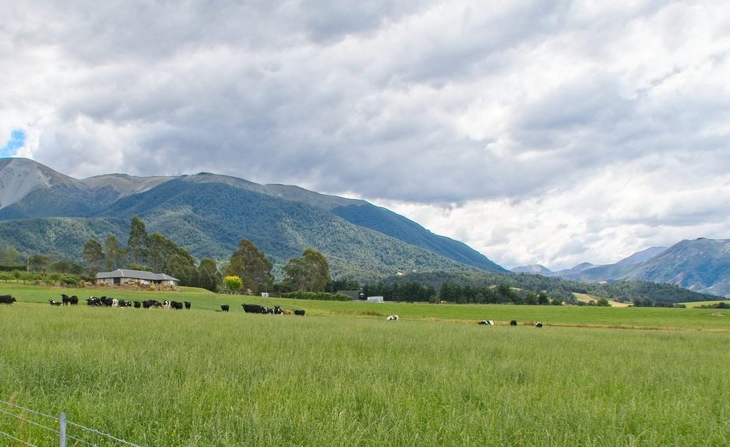 Pasture Growth Forecaster and LIC SPACE – a celebration
