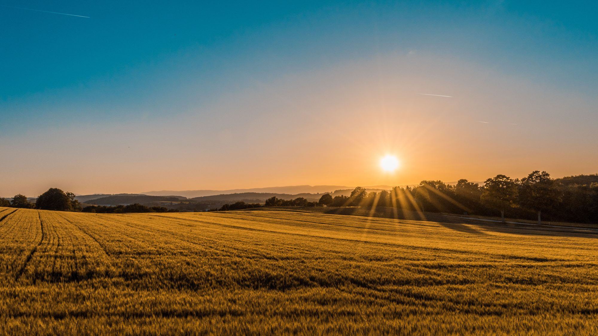 The National Farm Management Conference is back this November