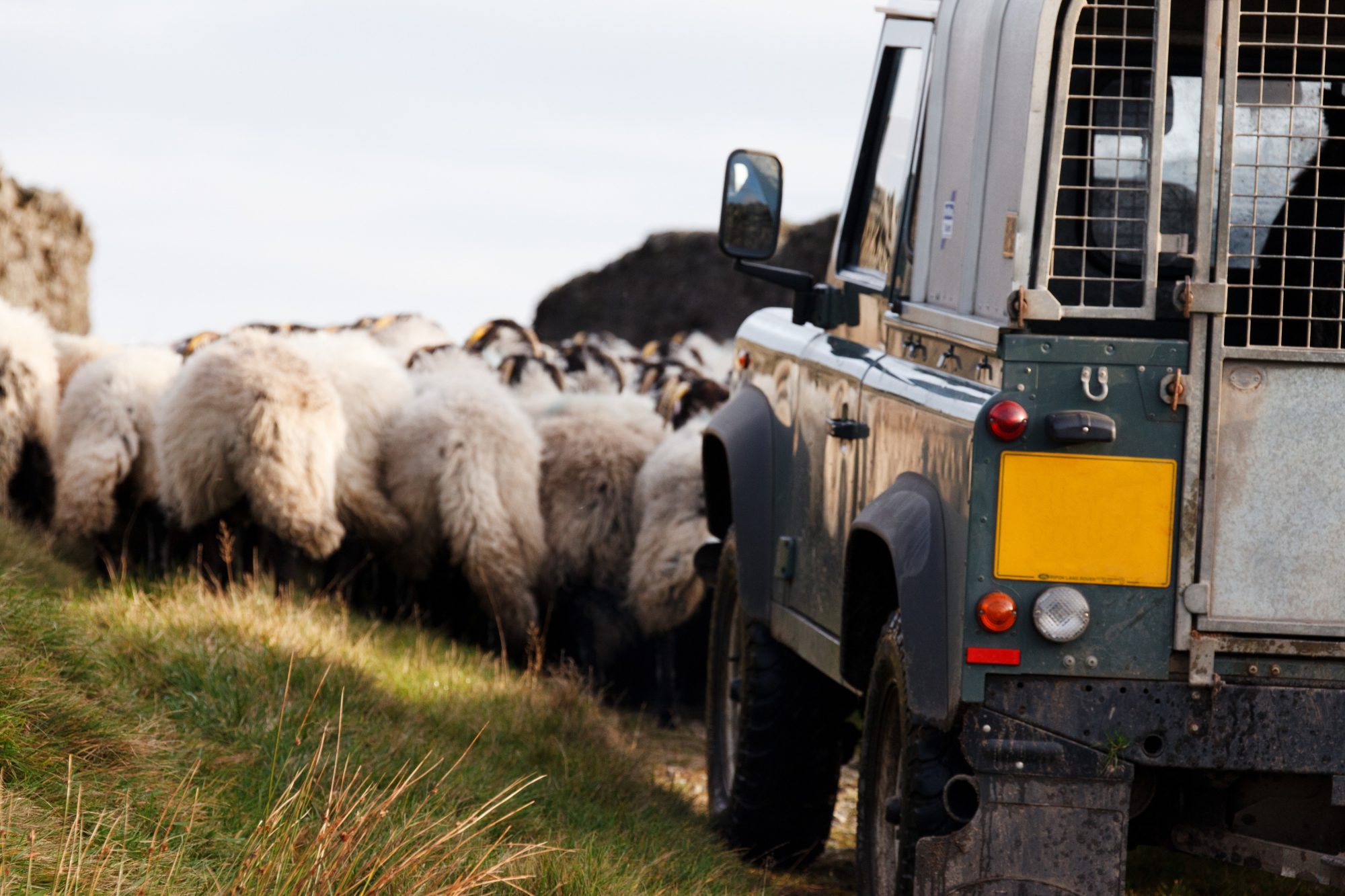 Digitising the UK’s Farm Assurance