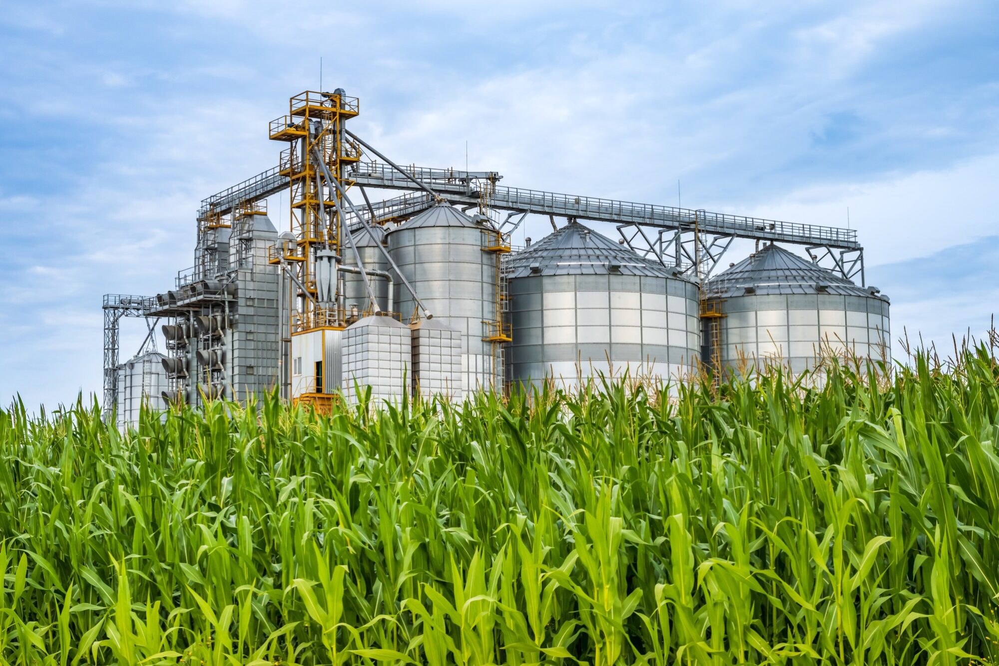 Farm sustainability baselines offer benefits for growers